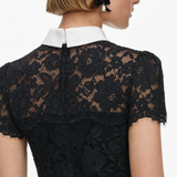 Black Lace Contrast Collar Midi Dress